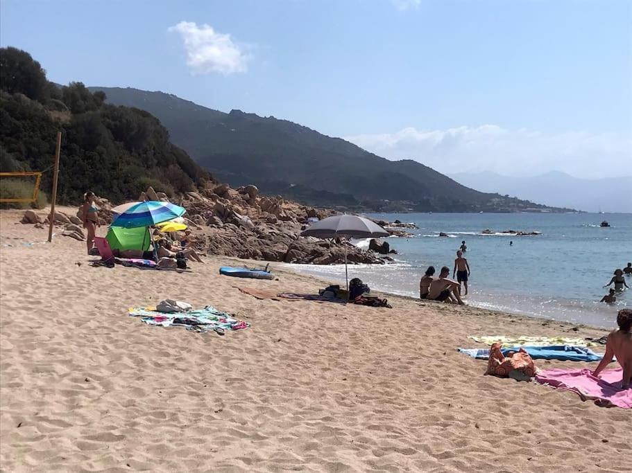 Bel App T2 En Bord De Mer Vue Sanquinaires Piscine Аячо Екстериор снимка